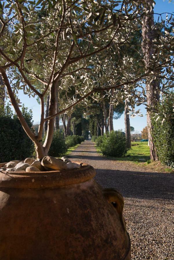 La Vecchia cantina Guzzardi Lari Esterno foto